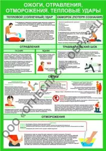 Ожоги, отравления, отморожения. Тепловые удары.