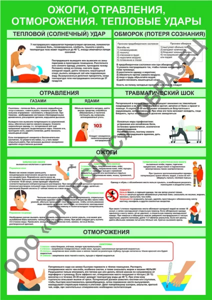 Ожоги, отравления, отморожения. Тепловые удары.